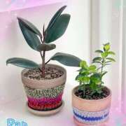 ヒメ日記 2026/01/15 12:39 投稿 らん 大塚 虹いろ回春