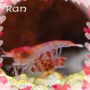 ヒメ日記 2026/02/07 14:23 投稿 らん 大塚 虹いろ回春