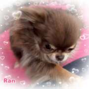 ヒメ日記 2026/02/17 17:50 投稿 らん 大塚 虹いろ回春