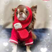 ヒメ日記 2026/03/17 14:59 投稿 らん 大塚 虹いろ回春