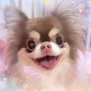 ヒメ日記 2026/04/19 12:32 投稿 らん 大塚 虹いろ回春