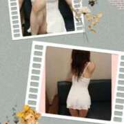 ヒメ日記 2025/10/07 12:44 投稿 なつき 御奉仕関係 -淑女の秘め事-