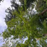 ヒメ日記 2025/07/09 10:44 投稿 ゆら ぽちゃかわ専門店　ぽちゃぽちゃイケてる