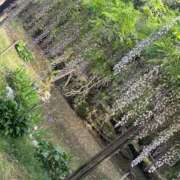 ヒメ日記 2025/09/02 20:49 投稿 ゆら ぽちゃかわ専門店　ぽちゃぽちゃイケてる