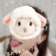 ヒメ日記 2025/09/28 12:28 投稿 みなこ 御奉仕関係 -淑女の秘め事-