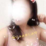 ヒメ日記 2025/12/20 14:43 投稿 みなこ 御奉仕関係 -淑女の秘め事-