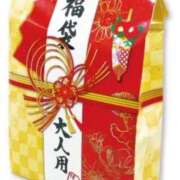 ヒメ日記 2025/12/26 13:09 投稿 みなこ 御奉仕関係 -淑女の秘め事-