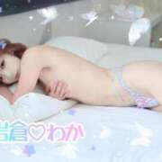 ヒメ日記 2025/11/07 12:15 投稿 岩倉わか ホットポイントヴィラ