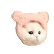 ヒメ日記 2024/12/20 21:48 投稿 いよ 日暮里・西日暮里サンキュー