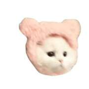 ヒメ日記 2025/04/04 19:02 投稿 いよ 日暮里・西日暮里サンキュー