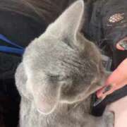 ヒメ日記 2025/06/14 00:53 投稿 ゆあ 秋葉原コスプレ学園in仙台