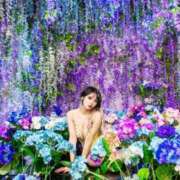 ヒメ日記 2025/06/24 13:01 投稿 ともみ エクセレントクラブ男爵