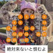 ヒメ日記 2025/12/01 18:31 投稿 ともみ エクセレントクラブ男爵