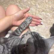 ヒメ日記 2025/07/10 22:35 投稿 きらら ハンドキャンパス池袋