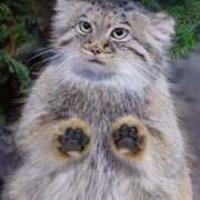 ヒメ日記 2025/04/20 20:09 投稿 まなつ 白いぽっちゃりさん五反田店