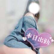 ヒメ日記 2025/11/24 13:09 投稿 まなつ 白いぽっちゃりさん五反田店