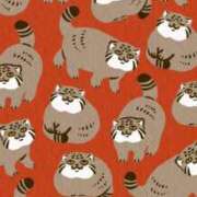 ヒメ日記 2025/12/18 20:19 投稿 まなつ 白いぽっちゃりさん五反田店