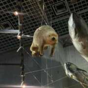 ヒメ日記 2026/02/02 22:22 投稿 まなつ 白いぽっちゃりさん五反田店