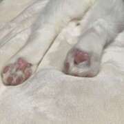 ヒメ日記 2025/03/19 16:16 投稿 すず ビギナーズ神戸