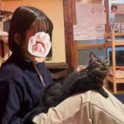 ヒメ日記 2025/11/09 12:01 投稿 すず ビギナーズ神戸