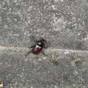 ヒメ日記 2026/07/13 22:19 投稿 しお One More奥様　立川店