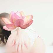 ヒメ日記 2025/03/20 02:02 投稿 吉永 倶楽部 月兎