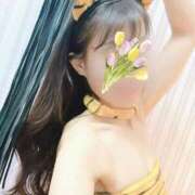 ヒメ日記 2025/04/18 15:52 投稿 吉永 倶楽部 月兎