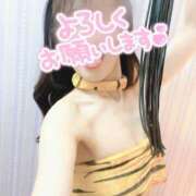 ヒメ日記 2025/08/20 06:42 投稿 吉永 倶楽部 月兎