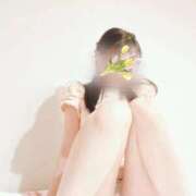 ヒメ日記 2025/10/23 09:32 投稿 吉永 倶楽部 月兎