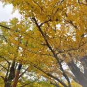 ヒメ日記 2025/11/18 20:23 投稿 しお One More奥様　八王子店