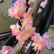 ヒメ日記 2026/03/19 16:59 投稿 しお One More奥様　八王子店