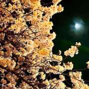 ヒメ日記 2025/04/05 10:38 投稿 ちあき One More奥様　厚木店