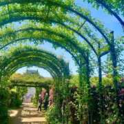 ヒメ日記 2025/04/16 10:16 投稿 ちあき One More奥様　厚木店