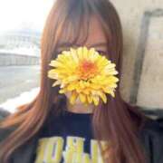 ヒメ日記 2025/02/11 08:15 投稿 あかり ルネッサンス