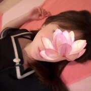 ヒメ日記 2025/02/12 07:00 投稿 あかり ルネッサンス