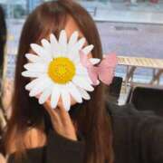 ヒメ日記 2025/03/20 08:15 投稿 あかり ルネッサンス