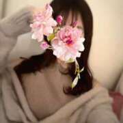 ヒメ日記 2025/03/31 07:15 投稿 あかり ルネッサンス