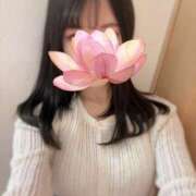 ヒメ日記 2025/04/13 08:16 投稿 あかり ルネッサンス