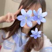 ヒメ日記 2025/06/03 09:21 投稿 あかり ルネッサンス