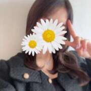 ヒメ日記 2025/06/07 09:30 投稿 あかり ルネッサンス