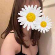 ヒメ日記 2025/06/16 13:15 投稿 あかり ルネッサンス