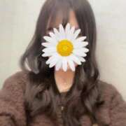 ヒメ日記 2025/11/07 07:15 投稿 あかり ルネッサンス