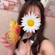 ヒメ日記 2025/11/10 16:45 投稿 あかり ルネッサンス