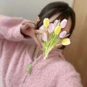 ヒメ日記 2025/11/12 07:15 投稿 あかり ルネッサンス