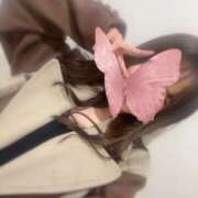 ヒメ日記 2025/12/22 07:15 投稿 あかり ルネッサンス