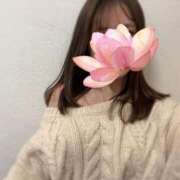 ヒメ日記 2026/02/08 07:15 投稿 あかり ルネッサンス