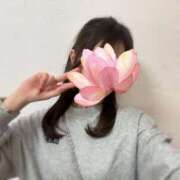 ヒメ日記 2026/04/08 07:15 投稿 あかり ルネッサンス