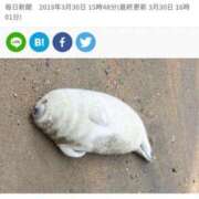 ヒメ日記 2025/02/14 13:22 投稿 あおい 素人美少女専門　町田アンジェリーク（アンジェリークグループ）