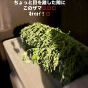 ヒメ日記 2026/05/30 20:00 投稿 あおい 素人美少女専門　町田アンジェリーク（アンジェリークグループ）