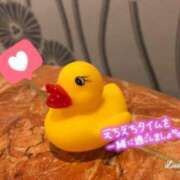 ヒメ日記 2025/02/23 19:27 投稿 あん ぷるりんクエスト上野浅草鶯谷秋葉原デリヘル王国